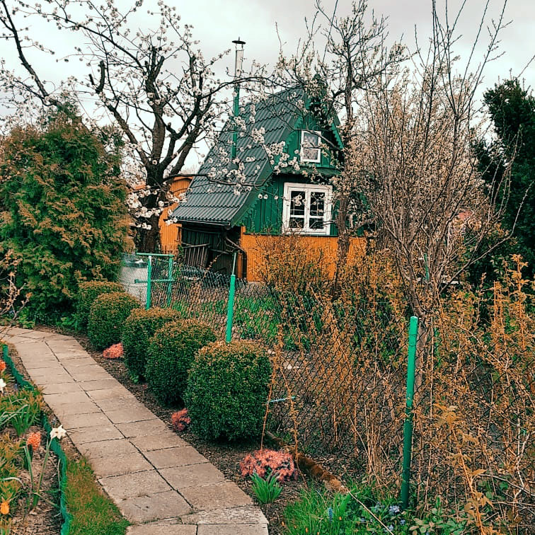 domek działkowy z ogrodem