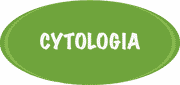 Cytologia